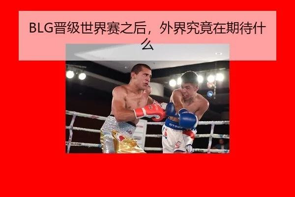 BLG晋级世界赛之后，外界究竟在期待什么
